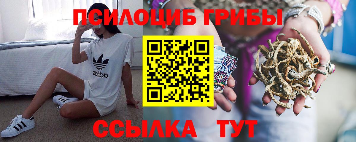 Галлюциногенные грибы GOLDEN TEACHER  Вход с VPN  Улан-Удэ 